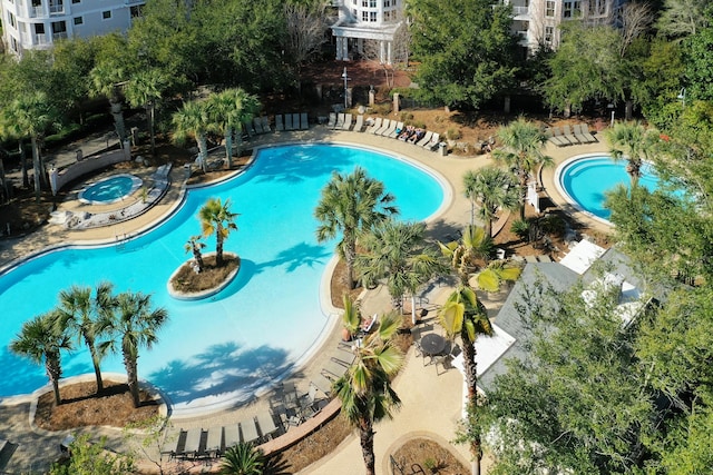 view of pool featuring a patio