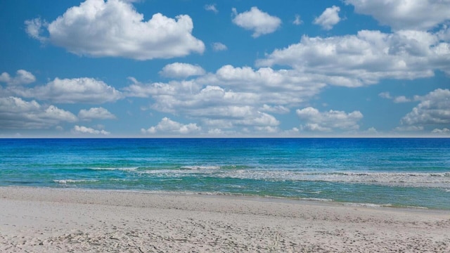 water view featuring a beach view