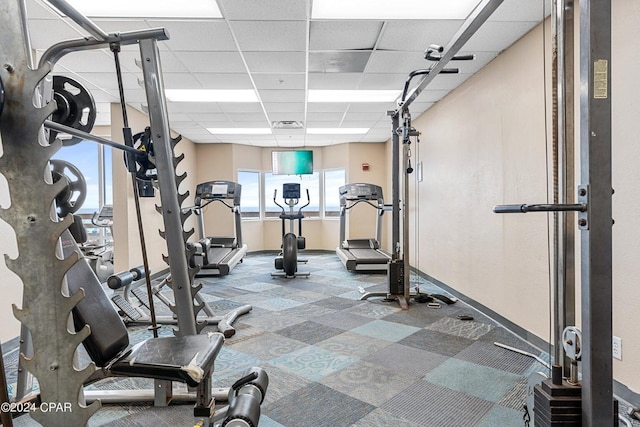 gym with carpet and a paneled ceiling