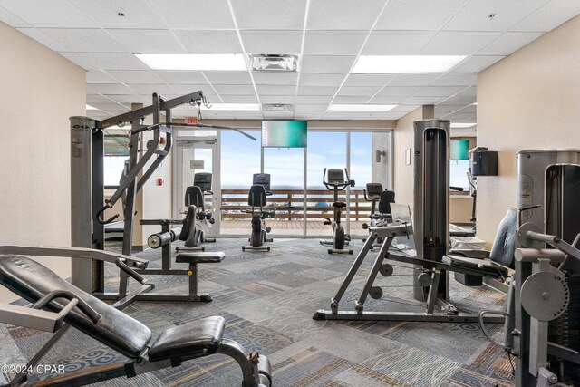 workout area featuring carpet, a paneled ceiling, and a wealth of natural light