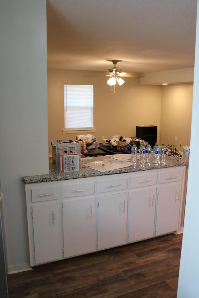 106 Star Dr Unit A, B, C, Fort Walton Beach, FL 32547 - kitchen featuring dark wood-type flooring, white cabinets, ceiling fan, and light stone counters
