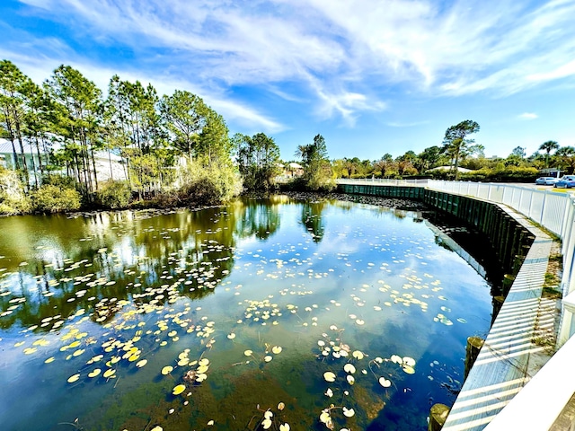 view of water feature