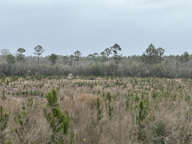 TRACT6336 Sand Path Rd, Bonifay FL, 32425 land for sale