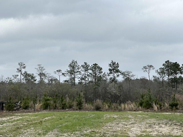 Listing photo 2 for TRACT6336 Sand Path Rd, Bonifay FL 32425