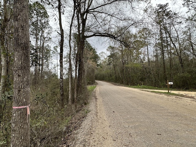 Listing photo 3 for TRACT6336 Sand Path Rd, Bonifay FL 32425