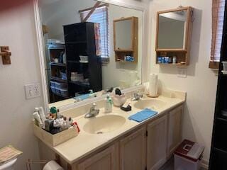 bathroom featuring vanity with extensive cabinet space