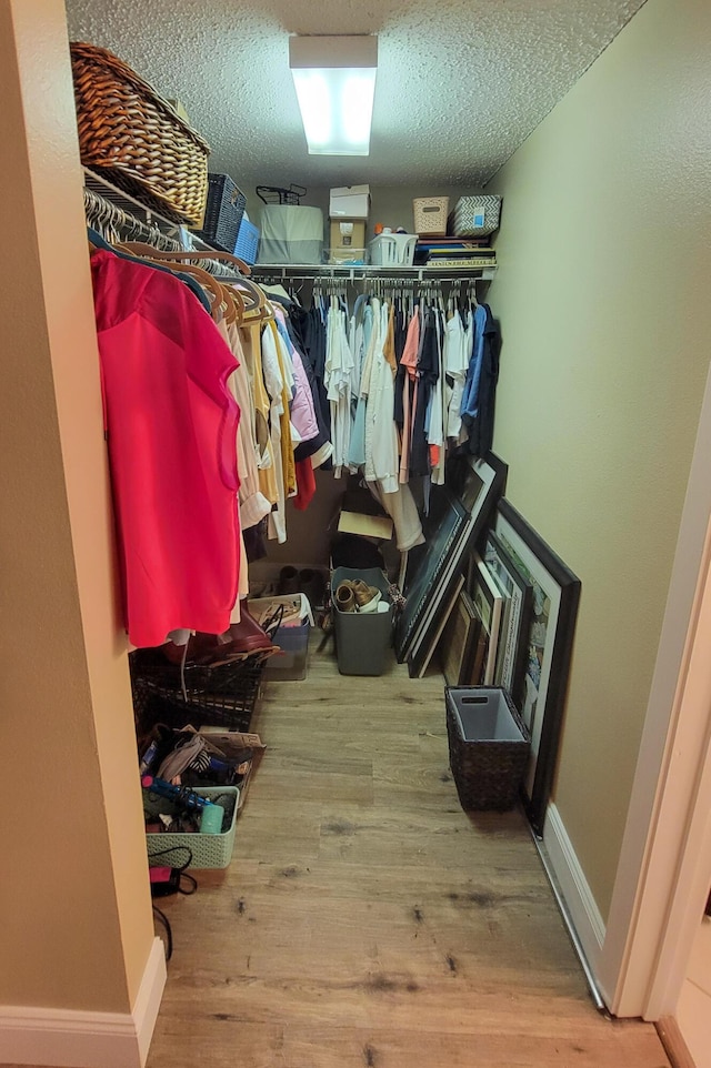 spacious closet featuring wood finished floors