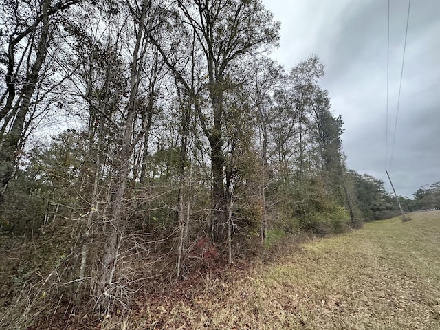 Listing photo 3 for TRACT6326 Tri County Rd, Graceville FL 32440