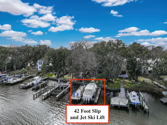 dock area with a water view