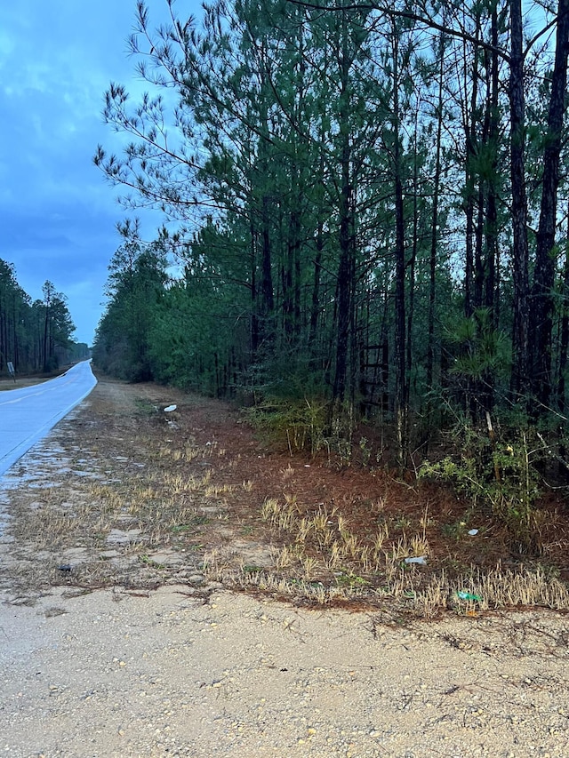 Listing photo 3 for TBD County Highway 181 E, Westville FL 32464