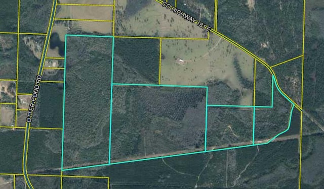 TBD County Highway 181 E, Westville FL, 32464 land for sale