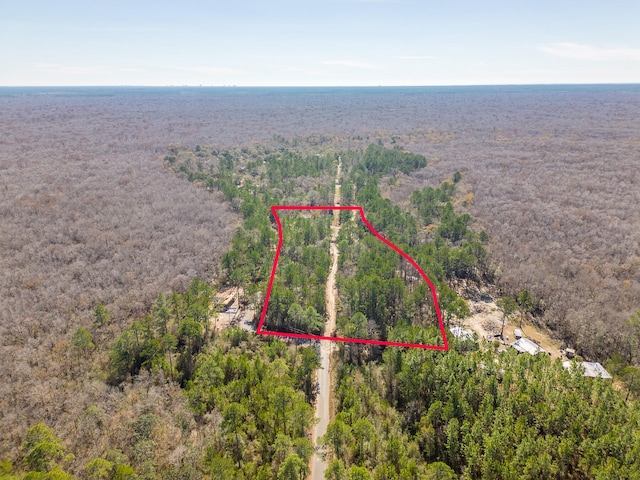 Listing photo 2 for 0000 Smokehouse Lake Rd, Ponce De Leon FL 32455