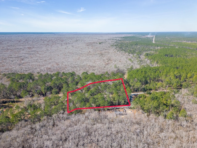 Listing photo 3 for 0000 Smokehouse Lake Rd, Ponce De Leon FL 32455