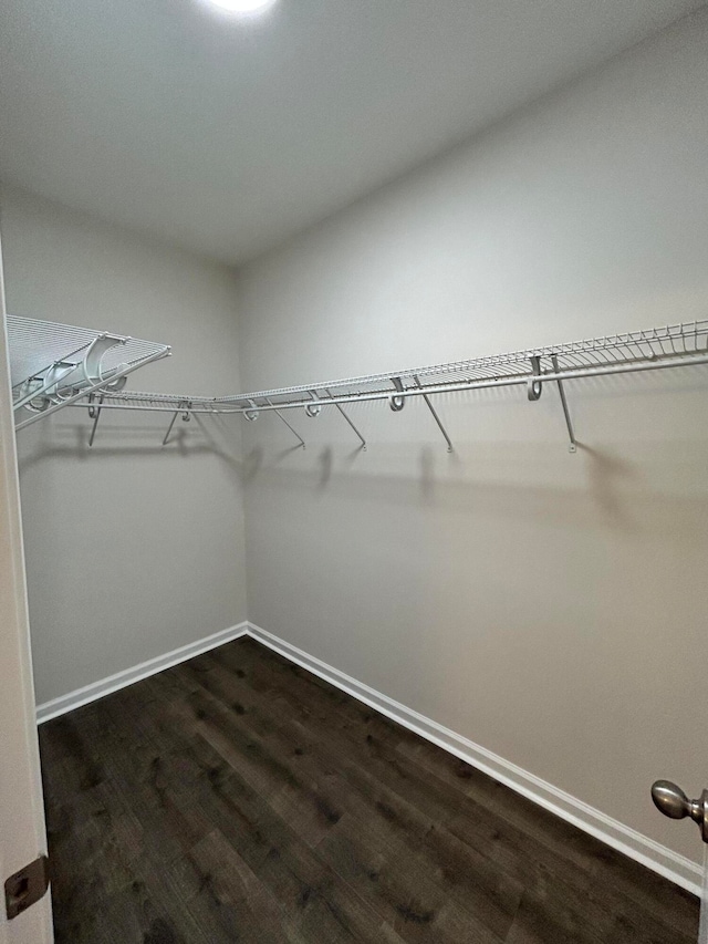 spacious closet with dark hardwood / wood-style floors