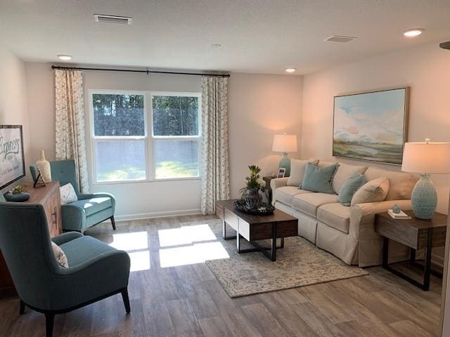 living room with wood-type flooring