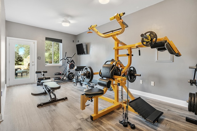 exercise area featuring hardwood / wood-style floors