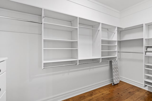 walk in closet featuring dark hardwood / wood-style flooring