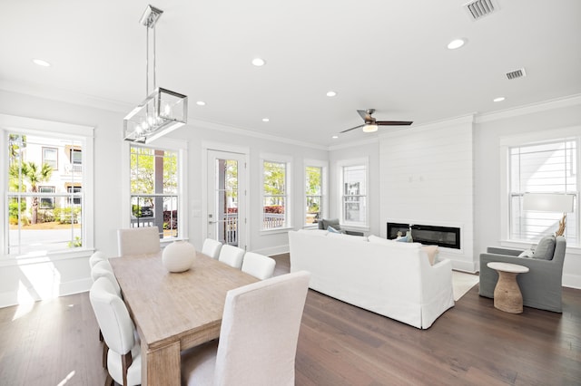 dining space with ceiling fan with notable chandelier, crown molding, dark wood-type flooring, and a large fireplace