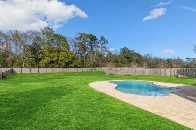 view of pool featuring a lawn and a patio area