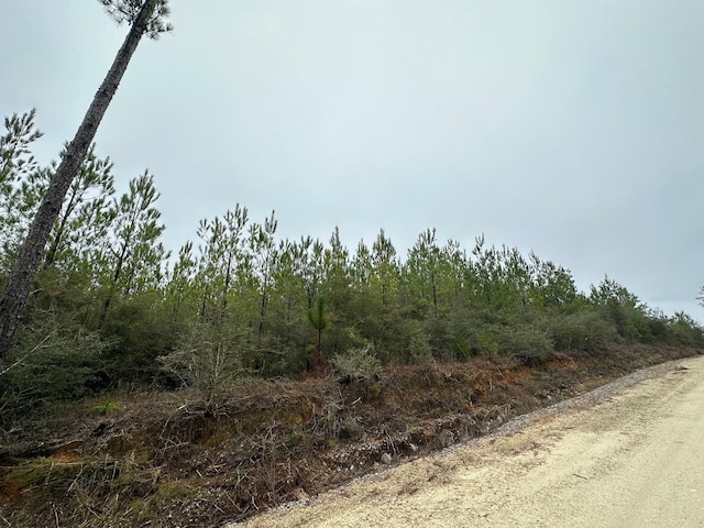 TRACT6418 N Mattox Springs Rd Unit N1, Caryville FL, 32427 land for sale