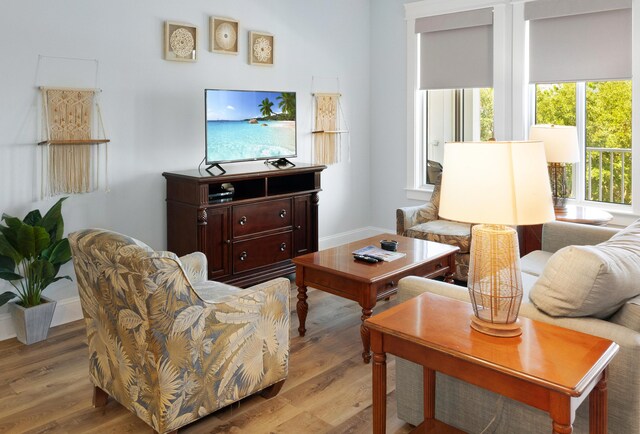 living room featuring hardwood / wood-style floors