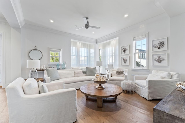 living room with crown molding, light hardwood / wood-style flooring, and ceiling fan