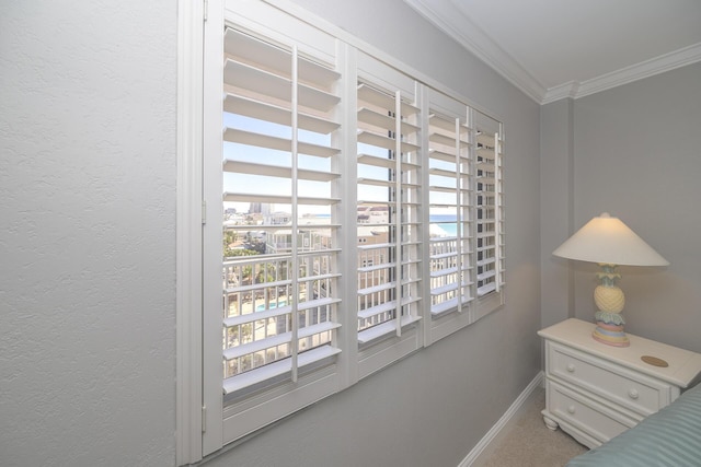 details featuring baseboards, a textured wall, and crown molding