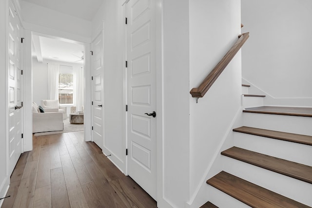 stairway with hardwood / wood-style floors