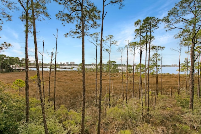 view of local wilderness with a water view