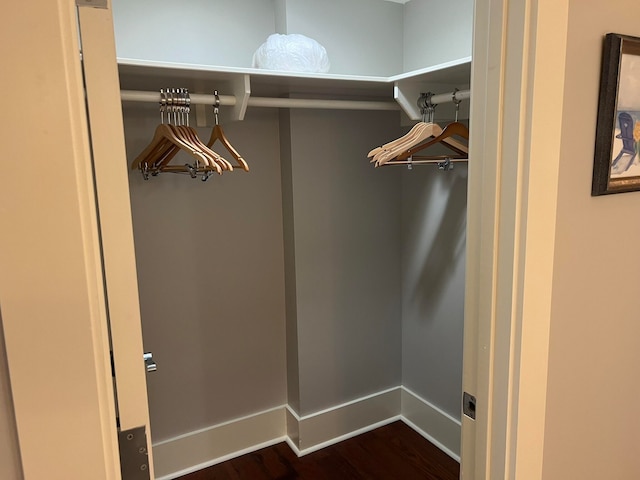 spacious closet featuring dark wood-style floors