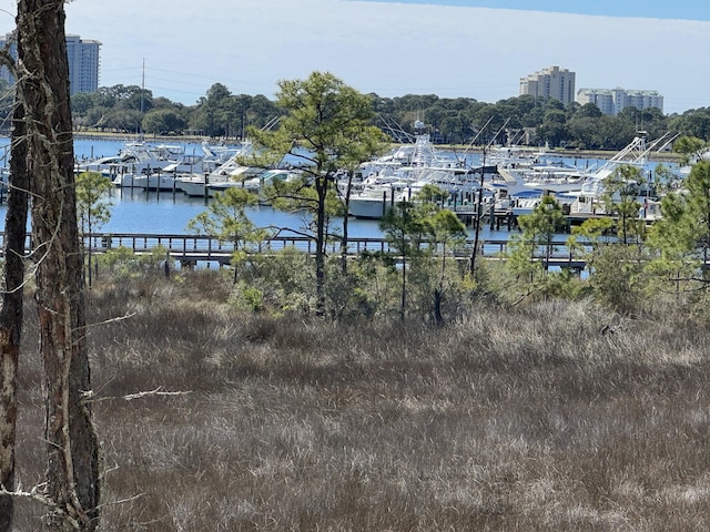 water view with a boat dock