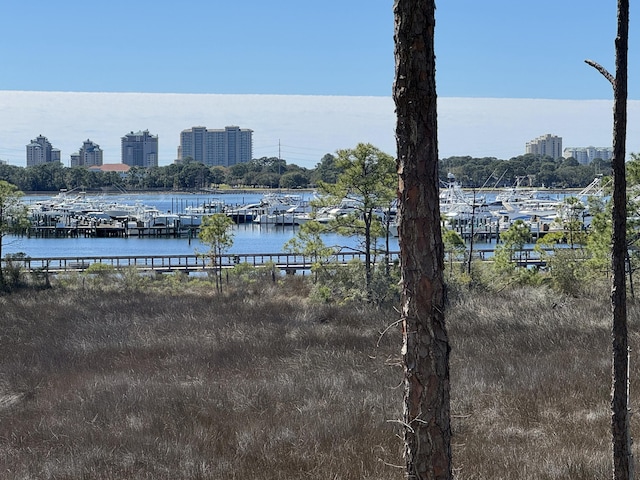 water view with a city view