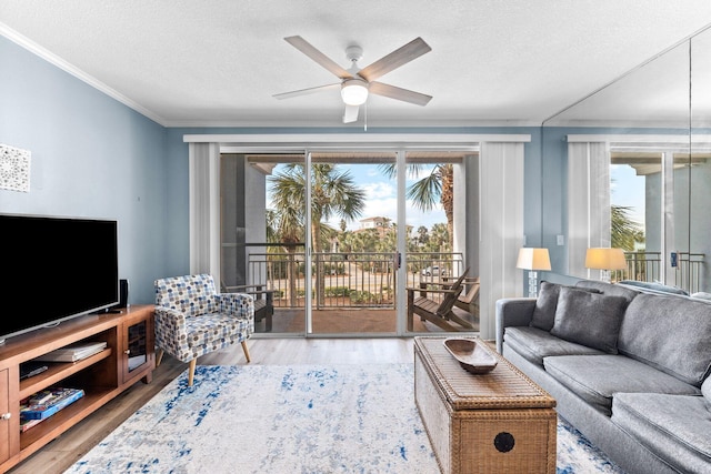 living room featuring ornamental molding, ceiling fan, hardwood / wood-style flooring, and a textured ceiling