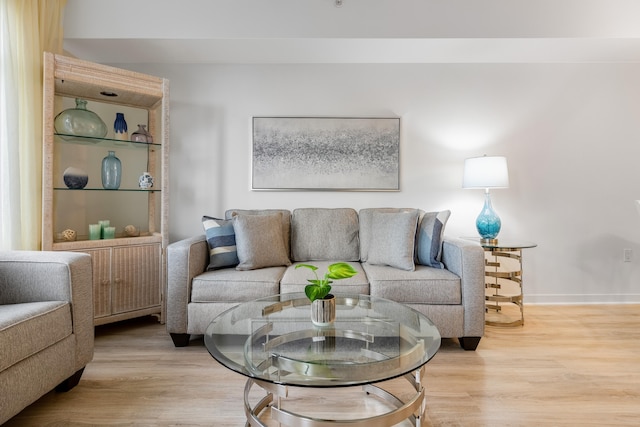 living room featuring light hardwood / wood-style floors