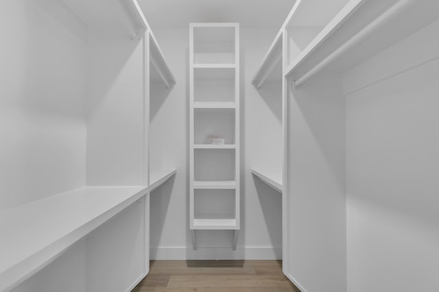 walk in closet with light wood-type flooring