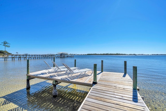 dock area with a water view