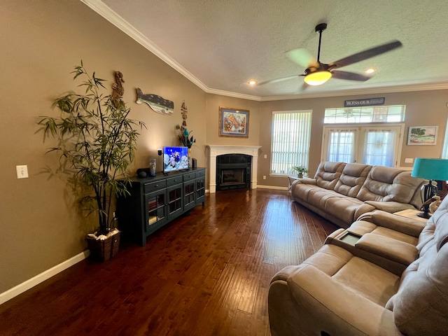 living room with ceiling fan, dark hardwood / wood-style floors, ornamental molding, and a textured ceiling