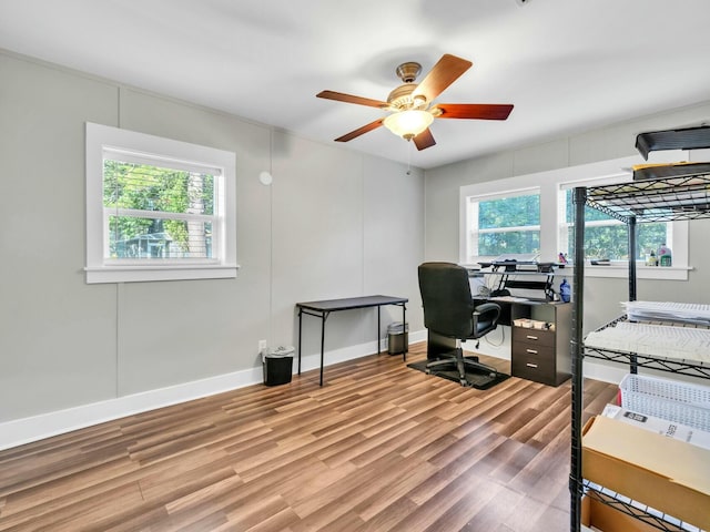 office featuring wood-type flooring, plenty of natural light, and ceiling fan