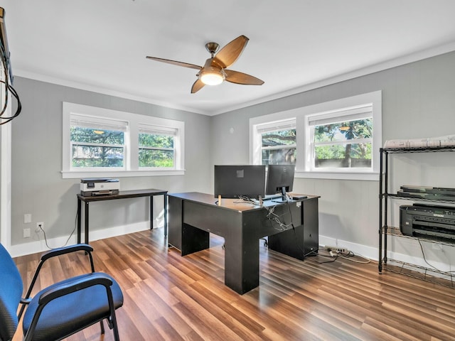 office space with ceiling fan, crown molding, a healthy amount of sunlight, and wood-type flooring