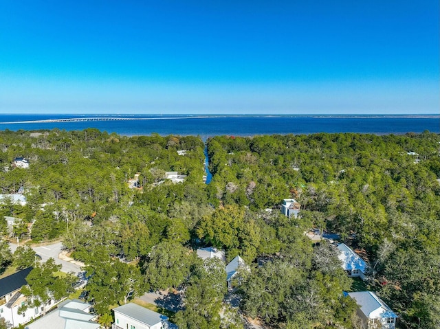 340 Little Canal Dr, Santa Rosa Beach, FL 32459 - photo 59