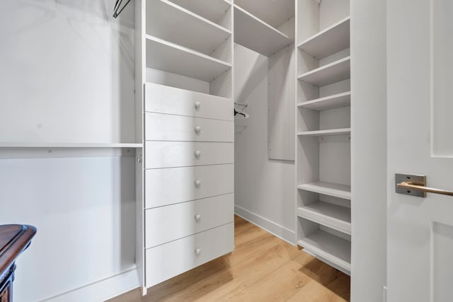 spacious closet featuring light wood-type flooring