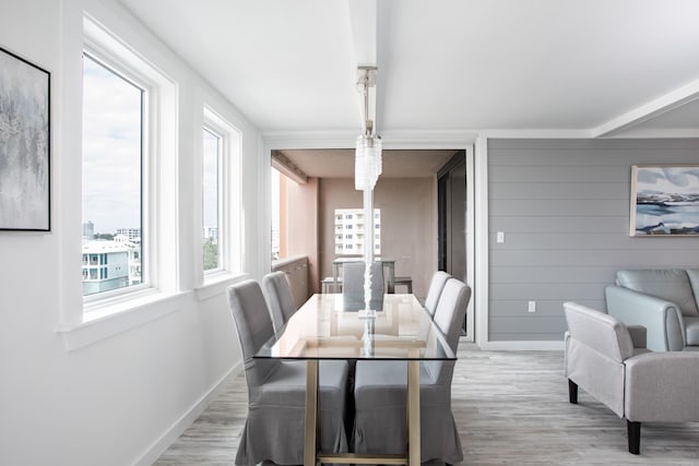 dining area with light hardwood / wood-style floors