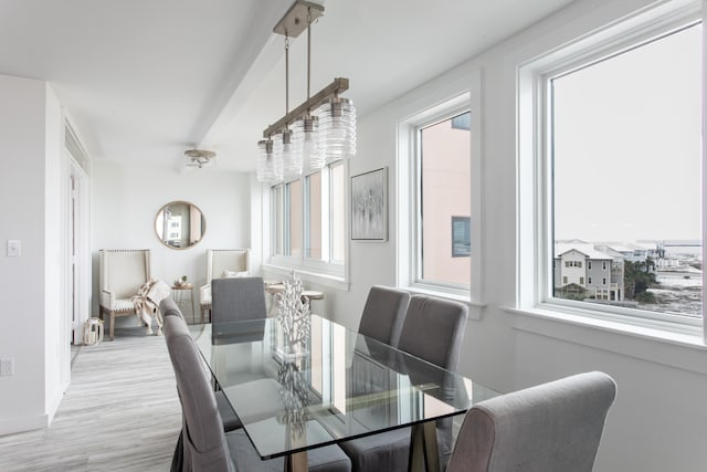 dining area with a wealth of natural light and light hardwood / wood-style flooring