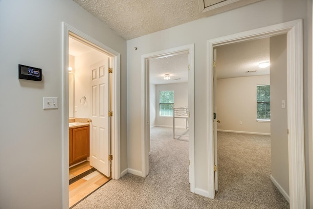 146 Swaying Pine Ct, Crestview, FL 32539 - photo 11