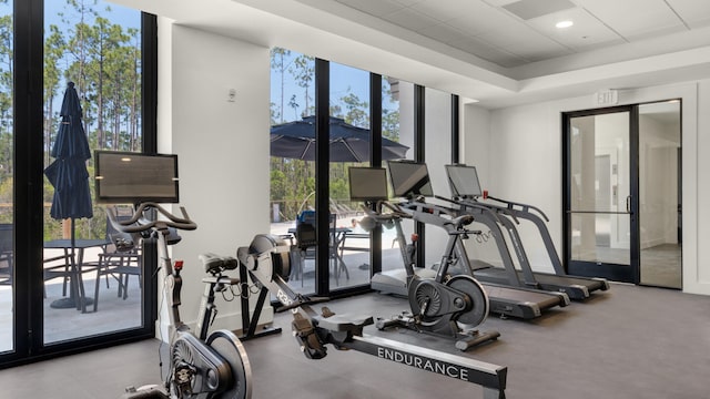 workout area featuring a healthy amount of sunlight and a raised ceiling