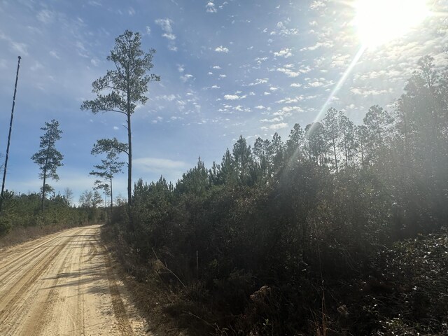 Listing photo 3 for TRACT6317 SW Harris Stevenson Rd, Bonifay FL 32425