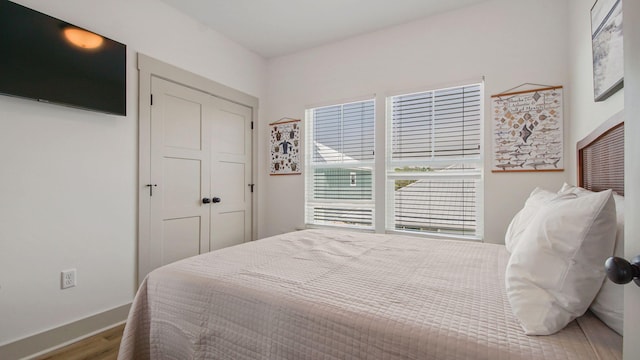 bedroom featuring a closet and wood-type flooring