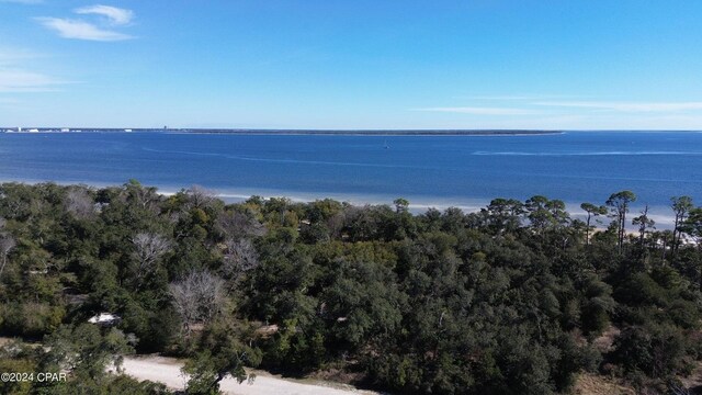 3910 Magnolia Bluff Ln, Panama City Beach, FL 32408 - photo 4