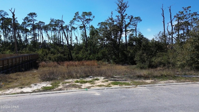 3910 Magnolia Bluff Ln, Panama City Beach, FL 32408 - photo 5