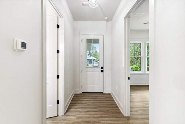 doorway to outside featuring light wood-type flooring